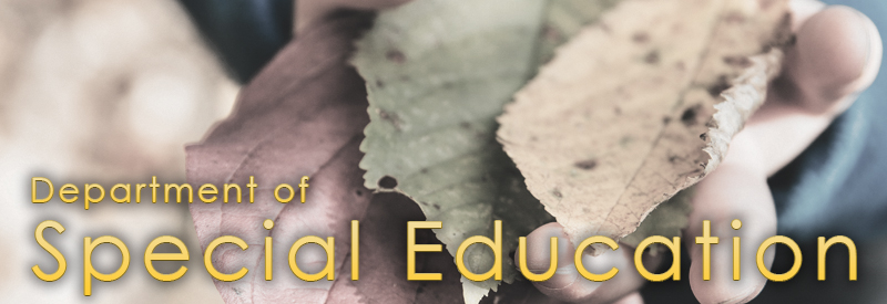 Department of Special Education Logo